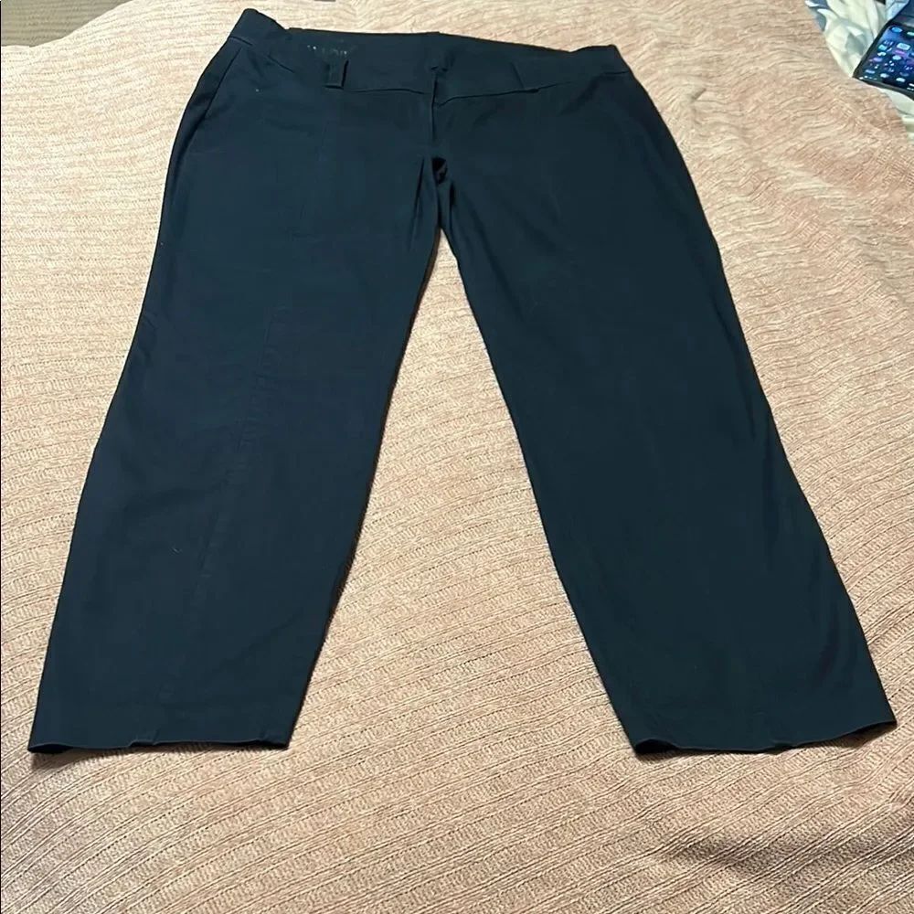 Ann Taylor Carnegie Blue Pants